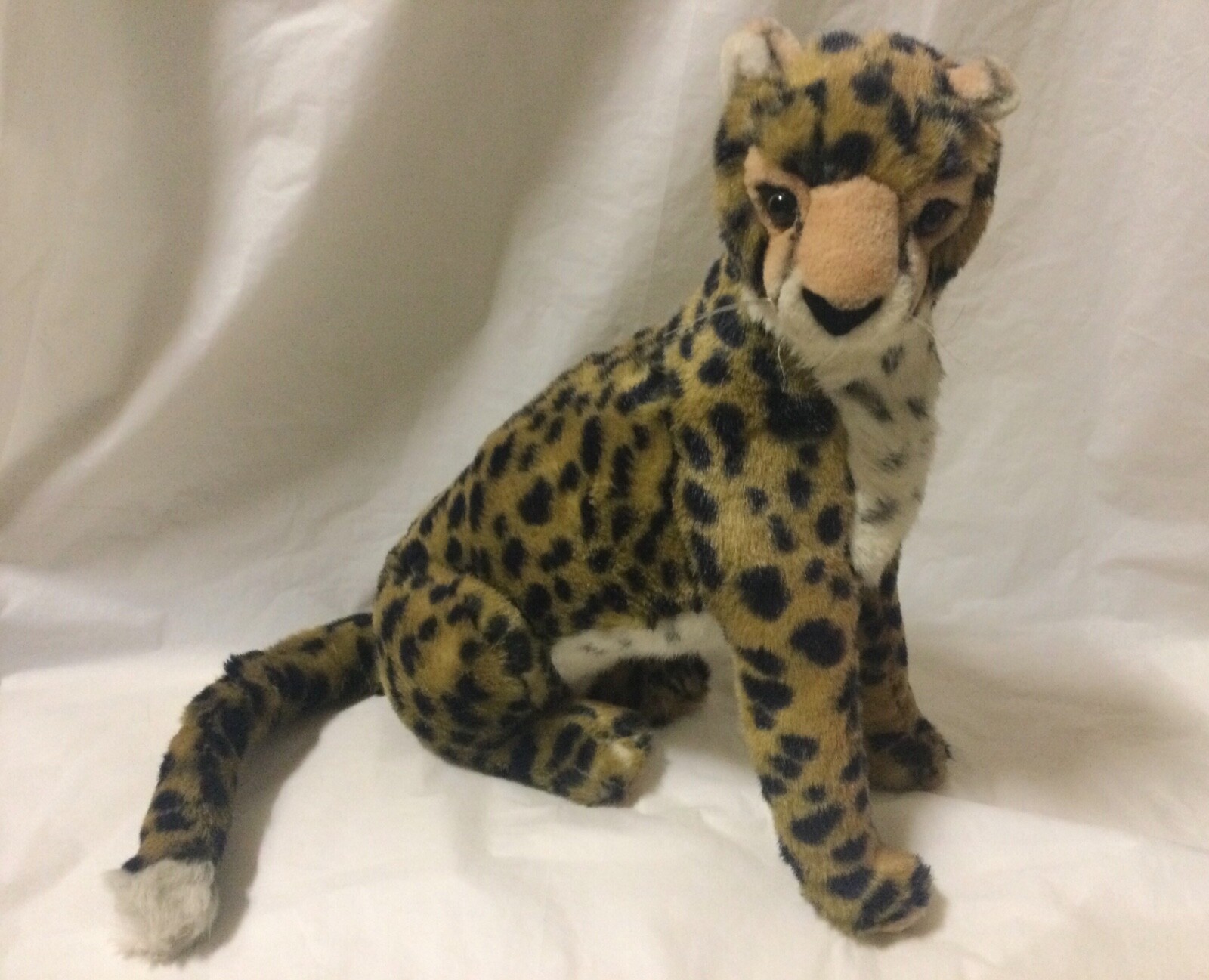 ★デイジー『 Cheetah family B/W 』by Zuberi ☆デイジー『 Cheetah family B/W 』by Zuberi ☆デイジー