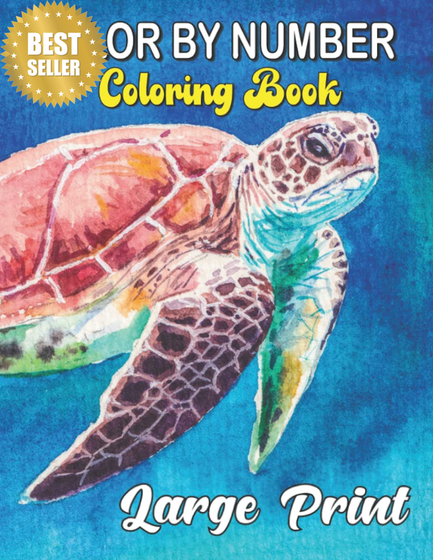 Color by Number Coloring Book Large Print: Coloring Book Large Print with Fun, E