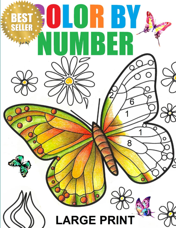 Large Print Color by Number Adult Coloring Book: Color by Number Flowers Birds B