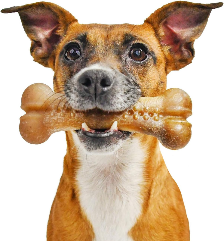 Pet Qwerks Dinosaur Barkbone Nylon Dog Bone for Aggressive Chewers Flavors