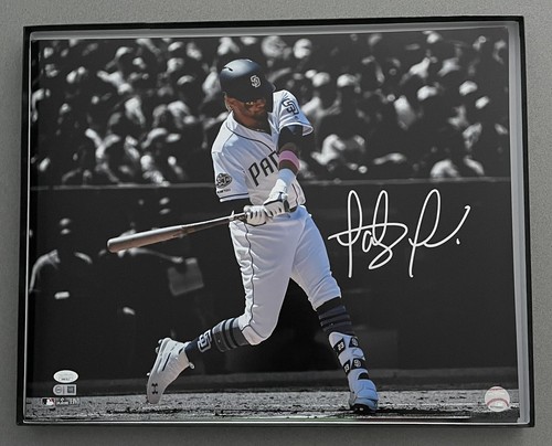Fernando Tatis Jr. signed Padres autographed 16x20 MLB