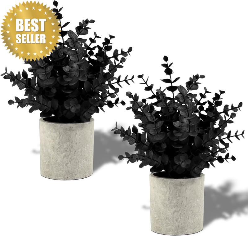 2 Pack Black Fake Eucalyptus Small Fake Plants Potted Artificial Plants for Hall