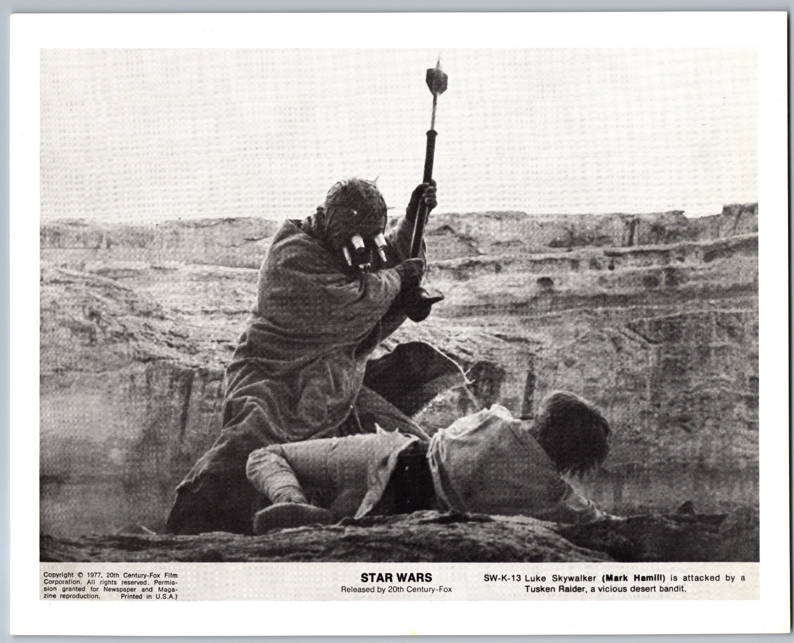 1977 STAR WARS NEW HOPE LUKE SKYWALKER TUSKEN RAIDER 8x10