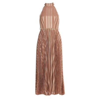 NEW Zimmermann Burnout Sunray Midi Ballet Picnic Dress Size AU 1 US 6 High Neck