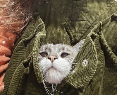Objectfoto('s) van geverifieerde koper