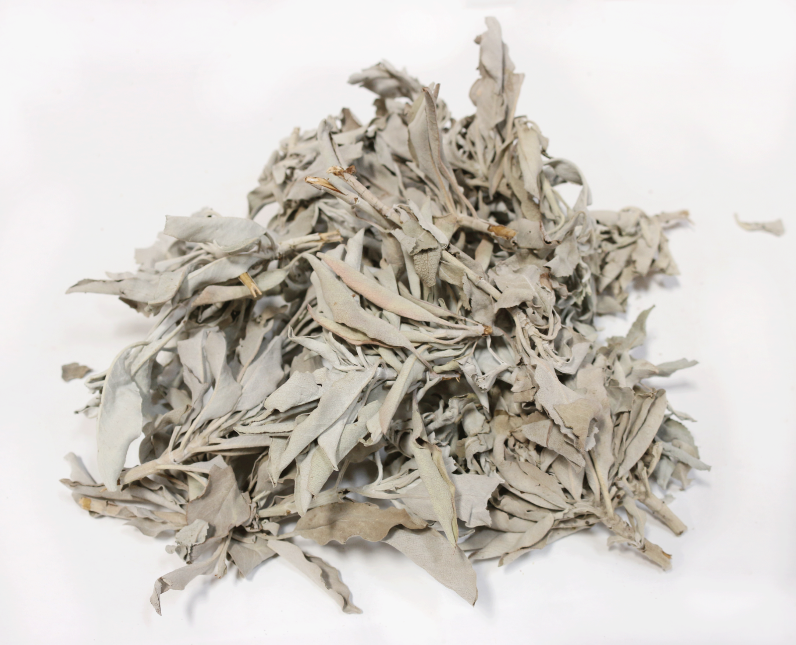 White Sage Clusters Bulk Loose Leaf White Sage for Cleansing & Smudging