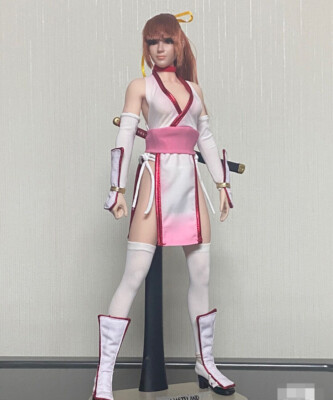SUPERDUCK Fighting Girls Dead or Alive Kasumi Clothes Set