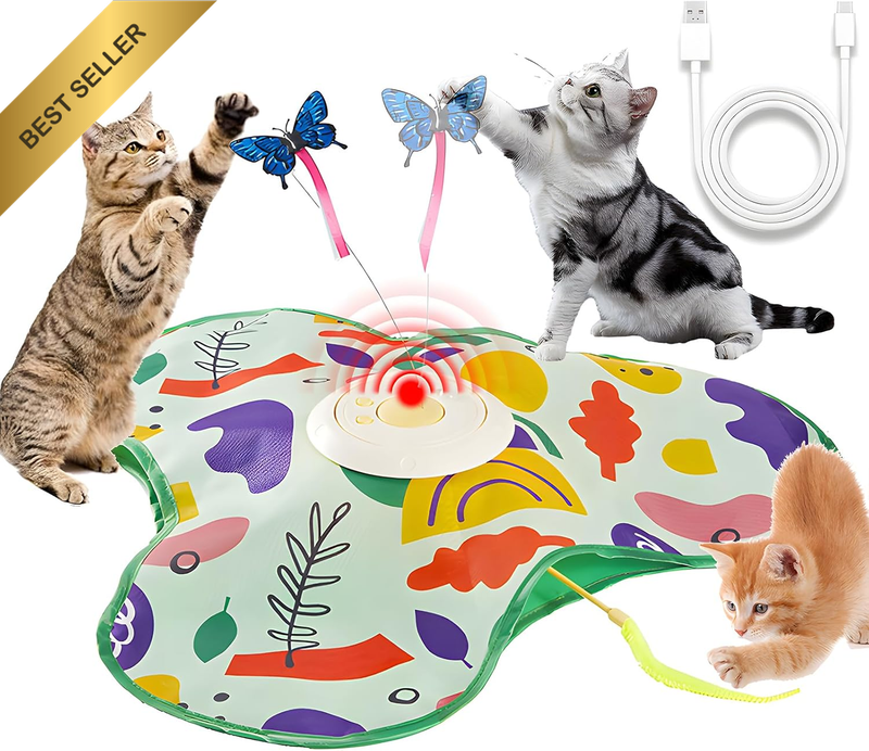 Cat Toys for Indoor Cats Interactive,Automatic Cat Toys, Hide and Seek Cat Toy w