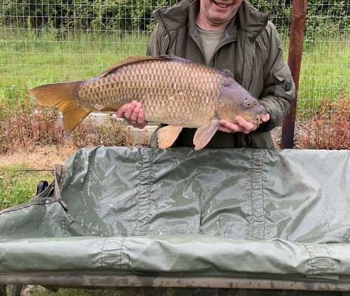 Artikelfoto(s) von einem verifizierten Käufer