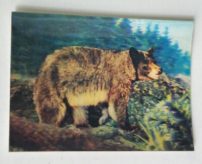 1987 Cracker Jack Prize Endangered Species Blue Bear or Glacier Bear 3D Card Toy