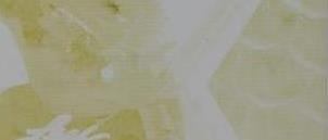 2022 Leaf Exotic Mario Williams #BA-MW2