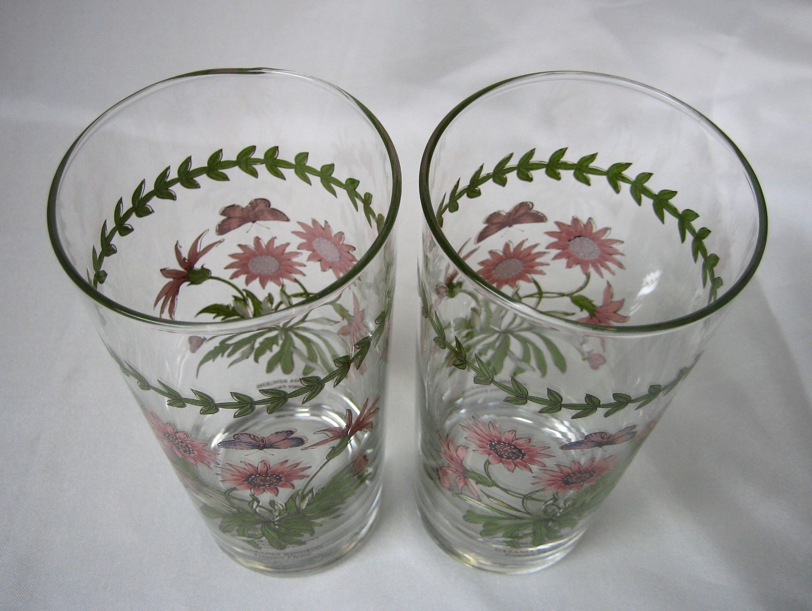 Portmeirion BOTANIC GARDEN Gazania Ringens Treasure Flower 16 Oz Highball Glass