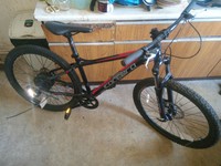 16 inch carrera bike