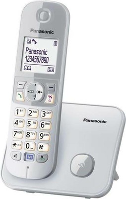 Panasonic Schnurloses Telefon analog KX-TG6811 Freisprechen Silber, Grau