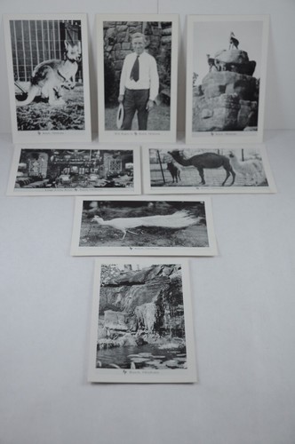 RARE 60 FRANK PHILLIPS RANCH BARTLESVILLE OKLA POSTCARDS PHOTOS WOOLAROC