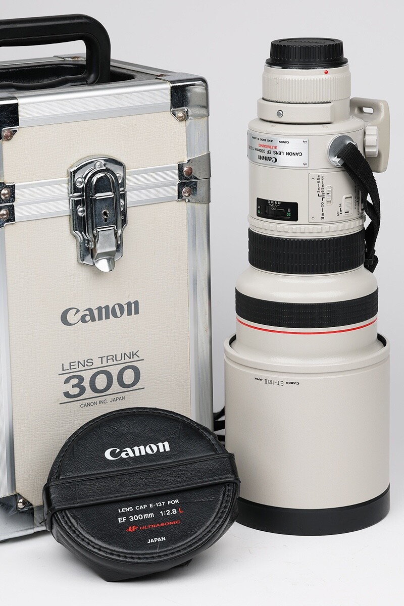 Canon EF 300mm f2.8 Ultrasonic & Hard Case | eBay