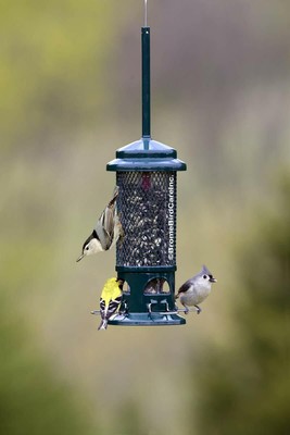 Brome Squirrel Buster Wild Bird Feeder Squirrel Proof StandarD 1057 New