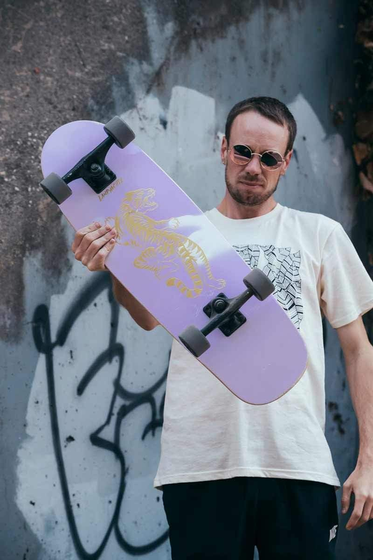 Complete Longboard Skateboards