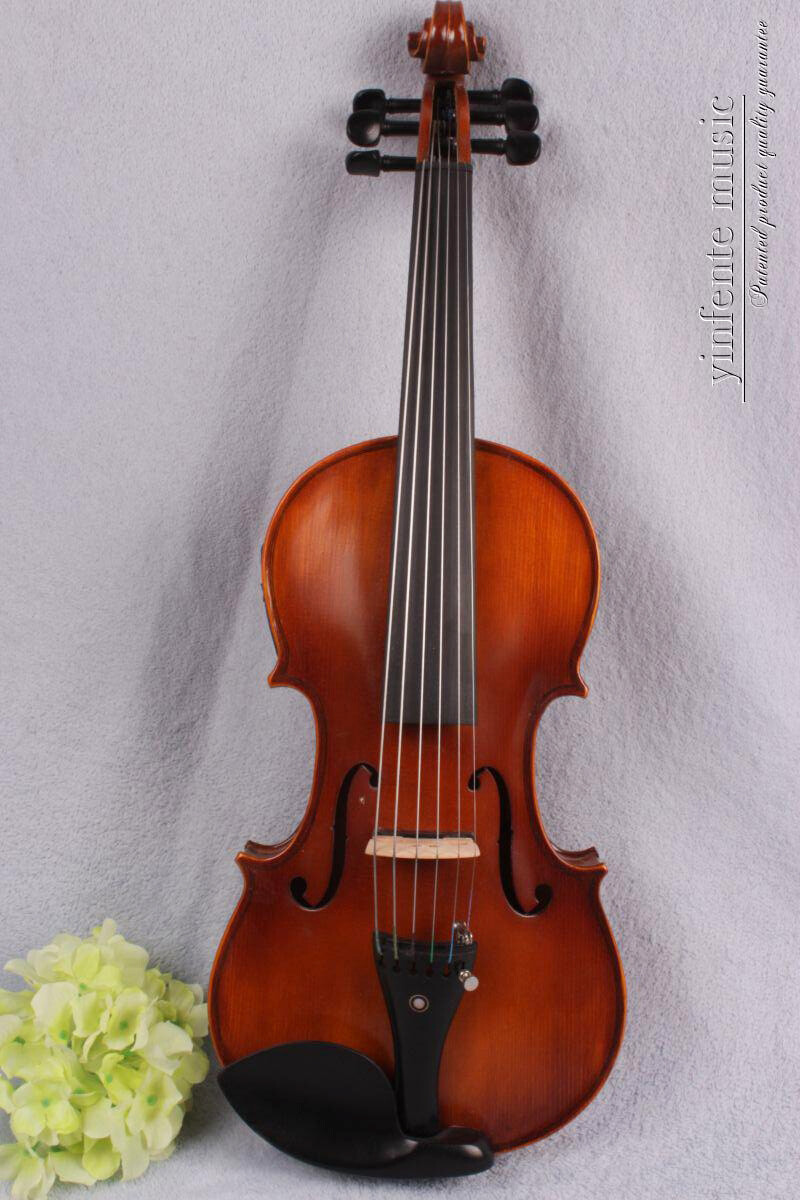 6 String Advance Electric Violin Acoustic 4/4 Spruce maple