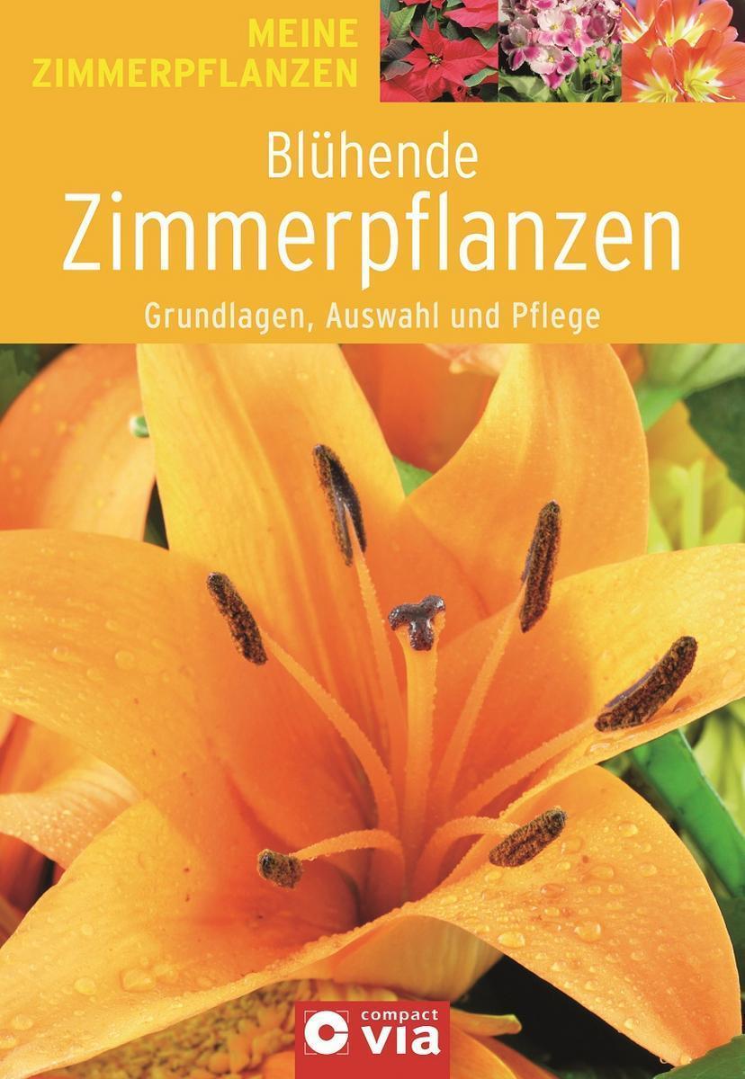 Standardbild