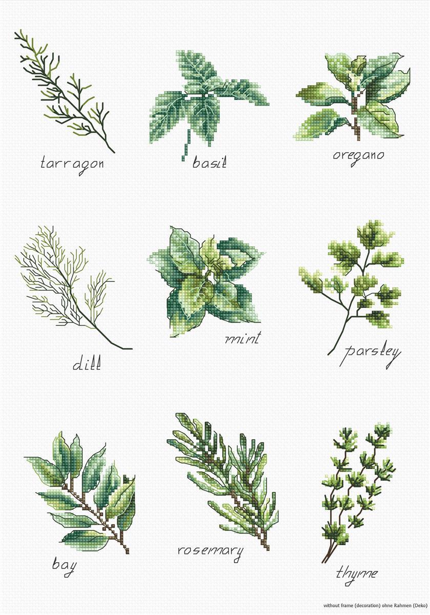 Luca-S kruissteek set 