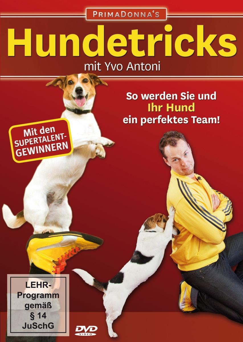 Standardbild
