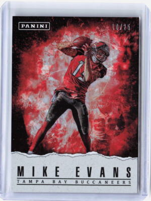 2017 Panini Father's Day #13 Mike Evans Panini Collection Cracked Ice #'d /25