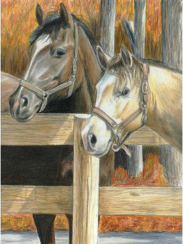 Color Pencil by Number Kit, 8.75 by 11.75-Inch, Buck'S Pal