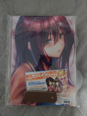 y11 Dakimakura Cover Amakano 2 Himiyama Rei Seal Soft Water Aqua Premier Life-si