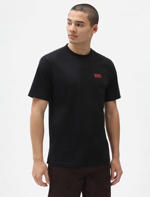 

Dickies Storden SS Lifestyle Футболка мужская черная спортивная повседневная футболка, Черный, Dickies Storden SS Lifestyle T-Shirt