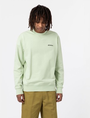 

Dickies Loretto Crewneck Мужская зеленая повседневная толстовка цвета селадона с круглым вырезом, Зеленый