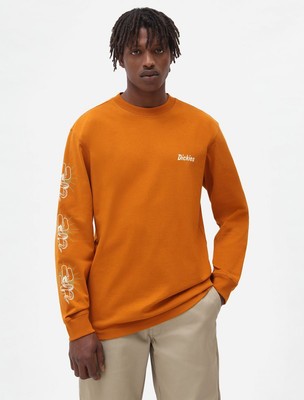 

Dickies Bettles LS Lifestyle футболка мужская горчично-белая повседневная спортивная футболка, Желтый, Dickies Bettles LS Lifestyle T-Shirt