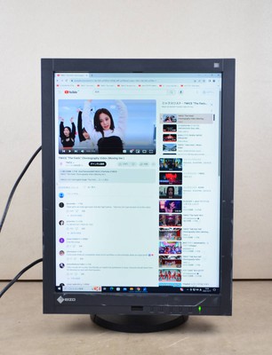 EIZO RadiForce RX240 21.3 in Type Medical High-definition Color Monitor JAPAN