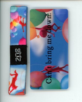 Medium ZOX Silver Singles Strap CAN'T BRING ME DOWN Wristband & Card Reversible