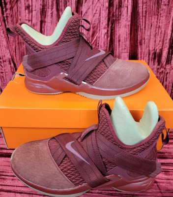 Lebron soldier xii by you top