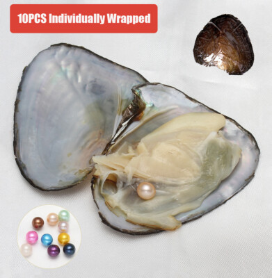 Akoya Oysters Individually Wrapped w/ Natural Pearl Cultured Round & Oval Bulk