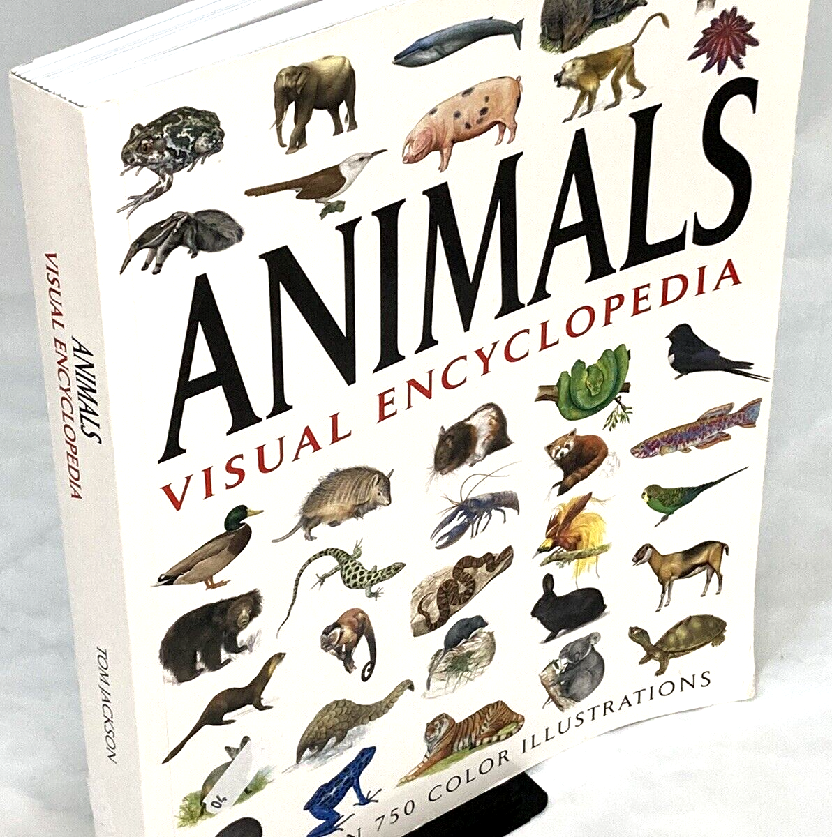 Preowned,, ANIMALS-VISUAL ENCYCLOPEDIA, SOFTCOVER, 448 PGS, VERY GOOD CONDITION Preowned,, ANIMALS-VISUAL ENCYCLOPEDIA, SOFTCOVER, 448 PGS, VERY GOOD CONDITION