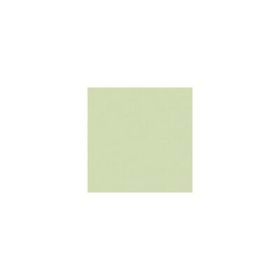 Rosco 87 Roscolux бледно-желто-зеленый, цветовые эффекты 20x24 #100000872024