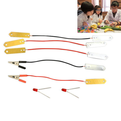 Bio Energy Science Kit Children Educational Fun Potato Electricity Experiments