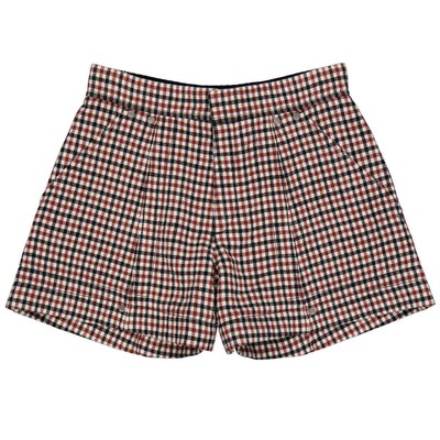 Pre-owned Chloé Chloe Ladies High-rise A-line Checked Wool-blend Shorts, Brand Size 36 (us Size In Multicolor