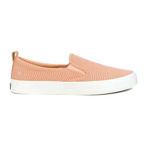 サンダー $_12.JPG?set_id=880000500F