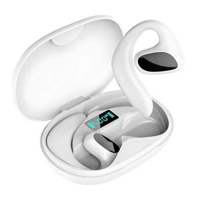 Bluetooth Translator Earbuds 144 Language Two Way Real Time Smart Translation