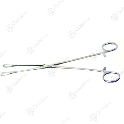 Weck 454113 BAUER Sponge Forceps