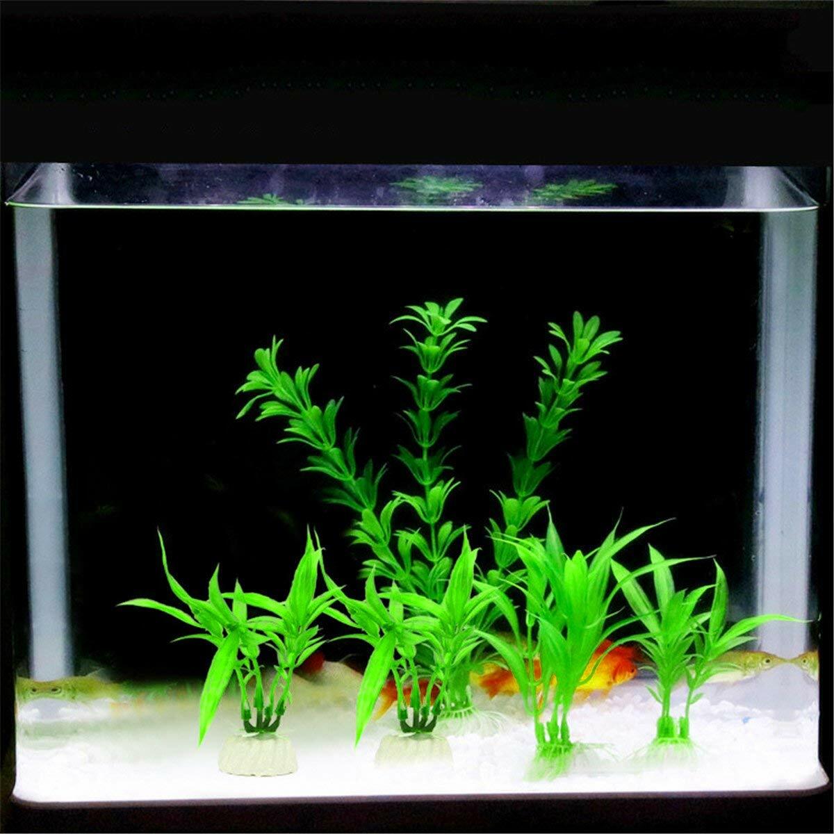 small size aquarium