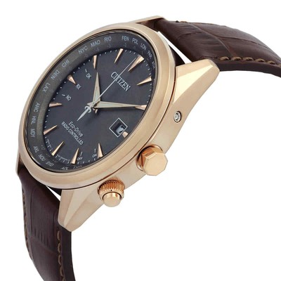 Pre-owned Citizen Perpetual World Time Gmt Eco-drive Grey Dial Men's Watch Cb0273-11h