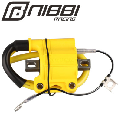 NIBBI 2/4T Ignition Coil Moped ATV Scooter Go Kart Pit Bike GY6 Performance Part