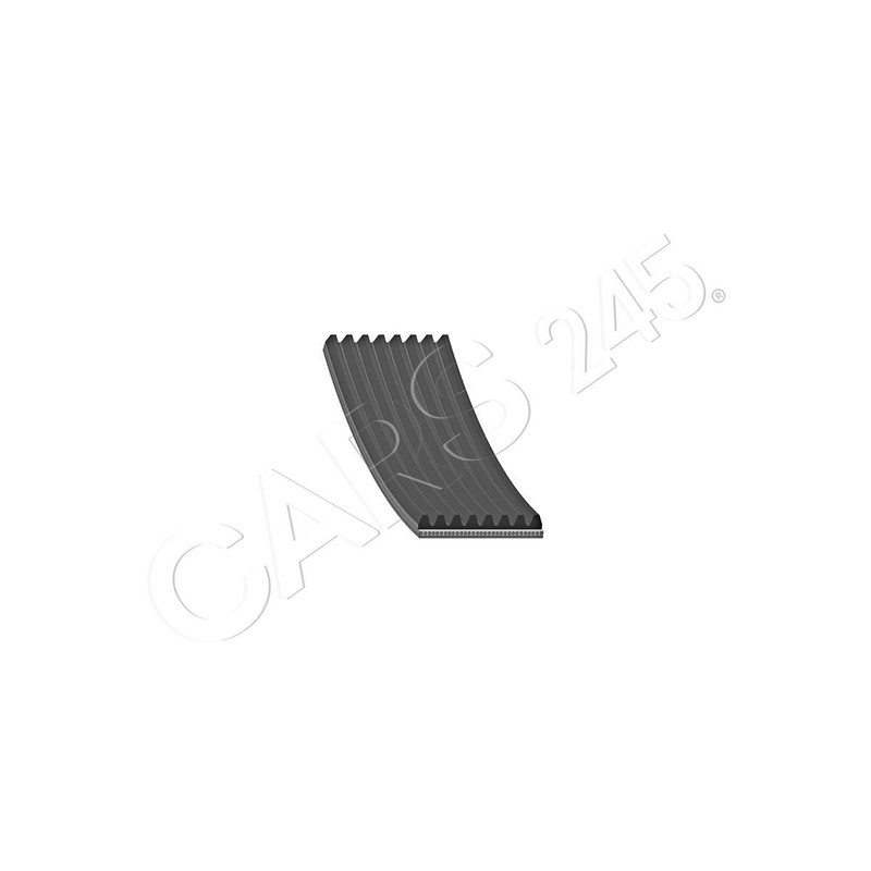 限定版 For FEBI Belt V-Ribbed SCANIA eBay | 1389034 95- Series - 4 小物