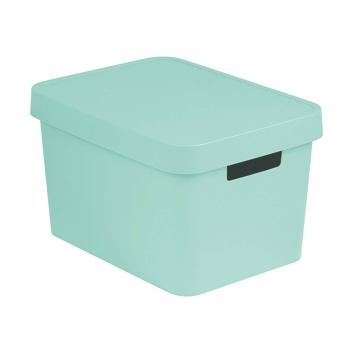 17L verschiedene Farben Curver INFINITY Box mit Deckel