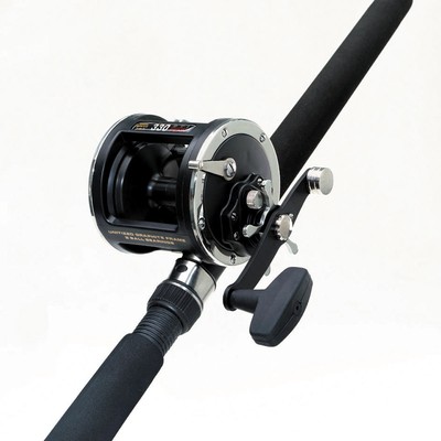 ロッド PENN REELS Saltwater Fishing Reels | PENN Fishing® US