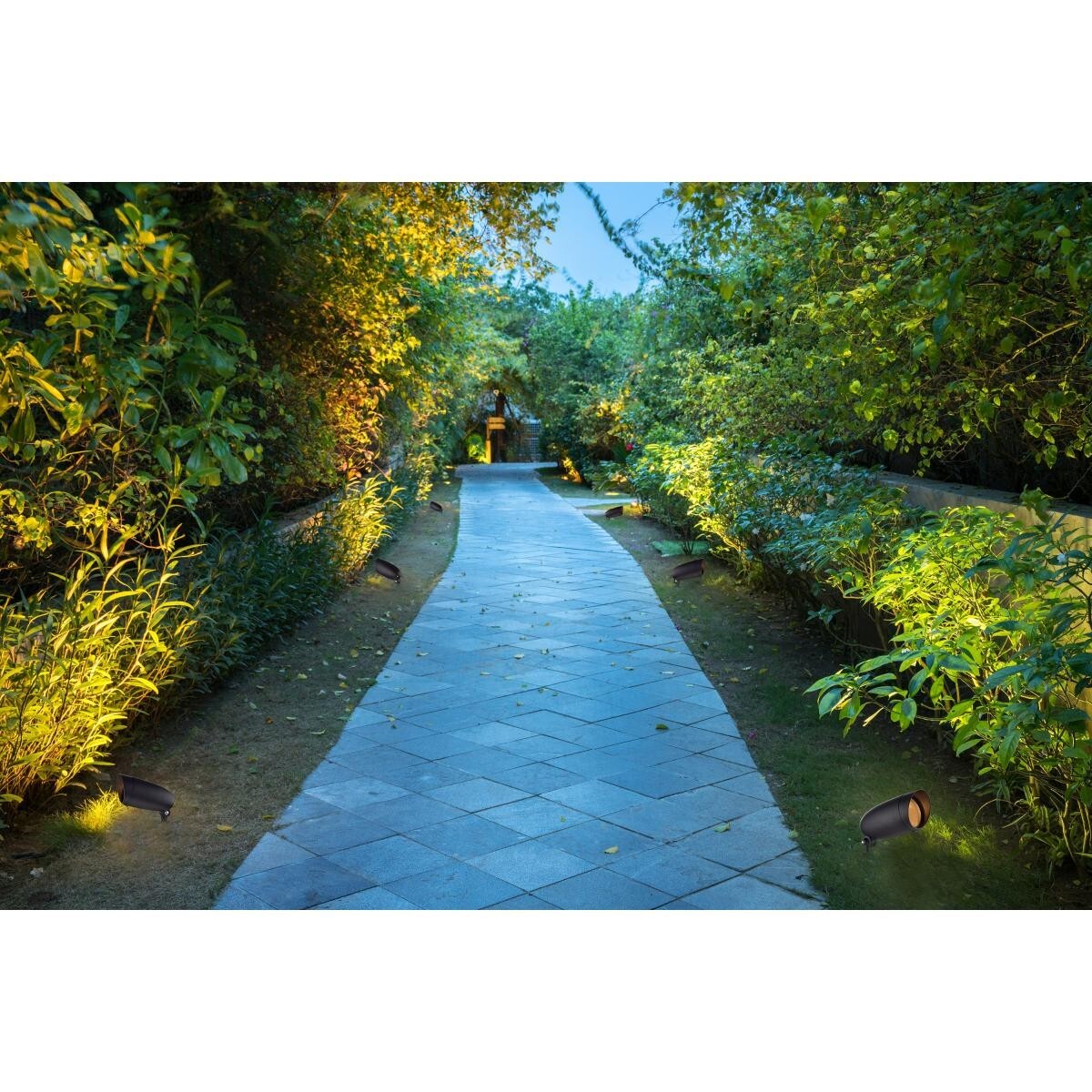 Satco / Nuvo SF76-646 -  1 Light - Landscape Flood - PAR20- Dark Bronze Finish